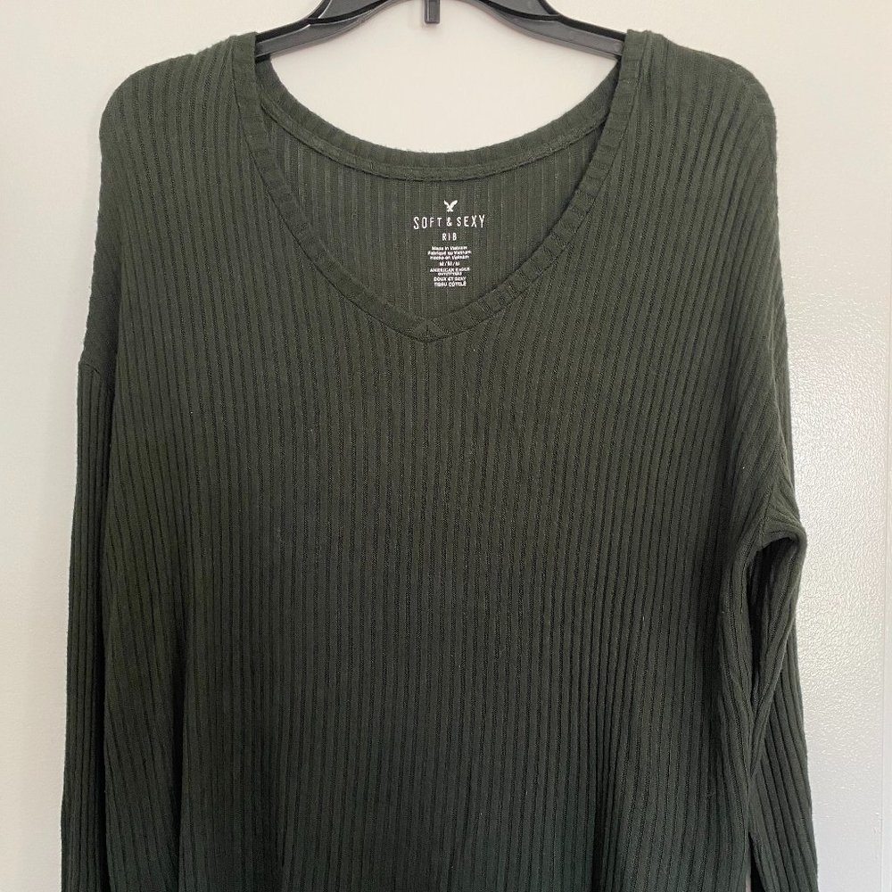 Soft & Sexy American Eagle Cropped Sweater Top